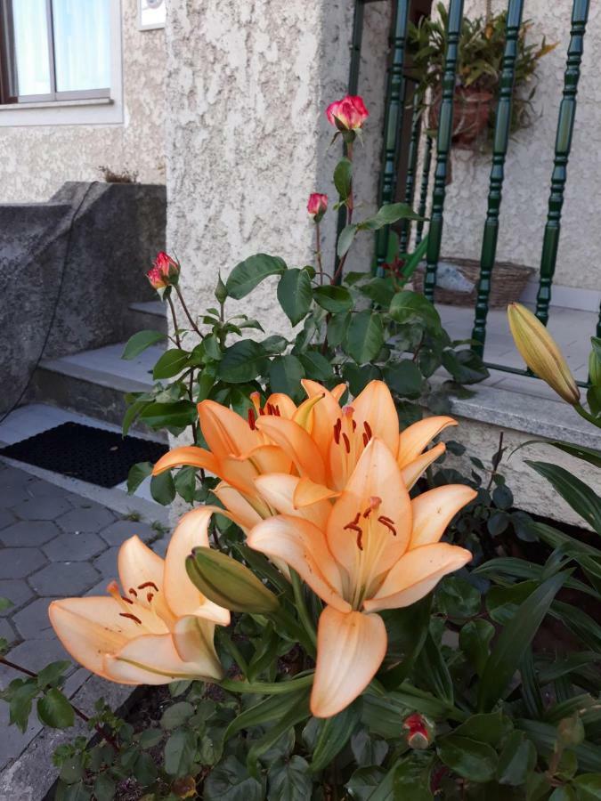 Cynda'S Home Візеу Екстер'єр фото